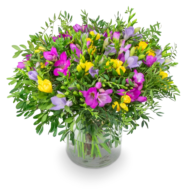bouquet of freesia